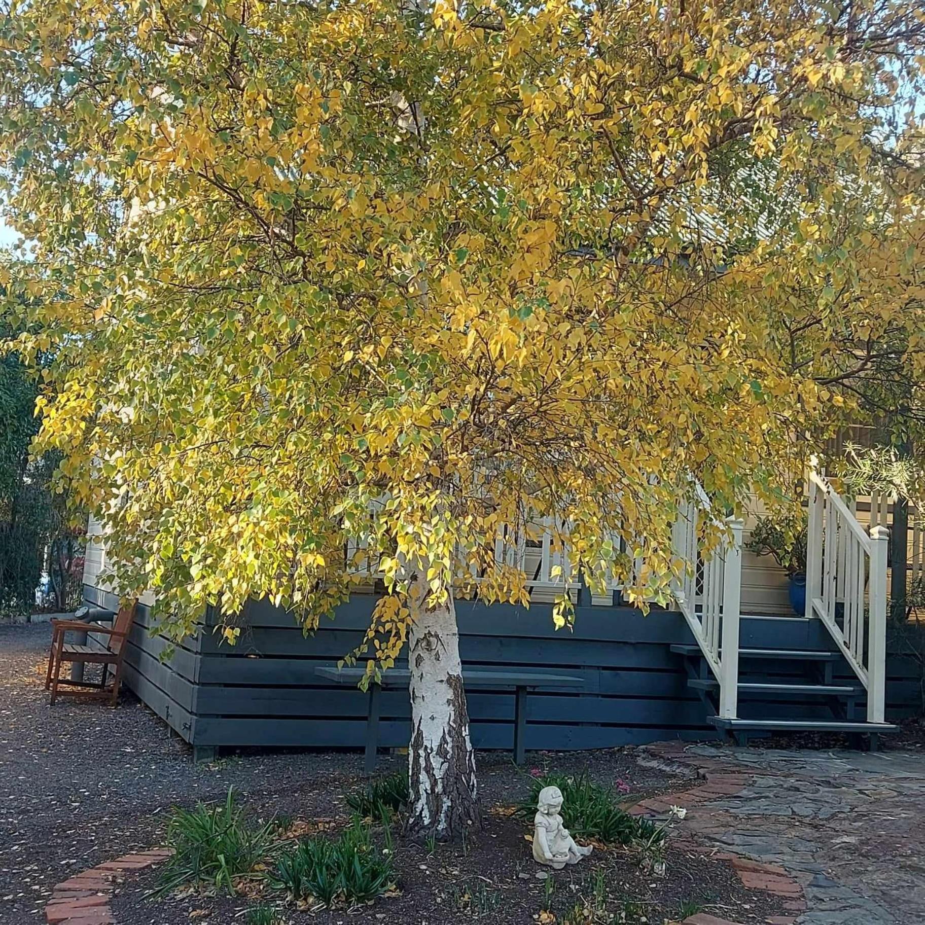Avoca Cottages Victoria Eksteriør billede